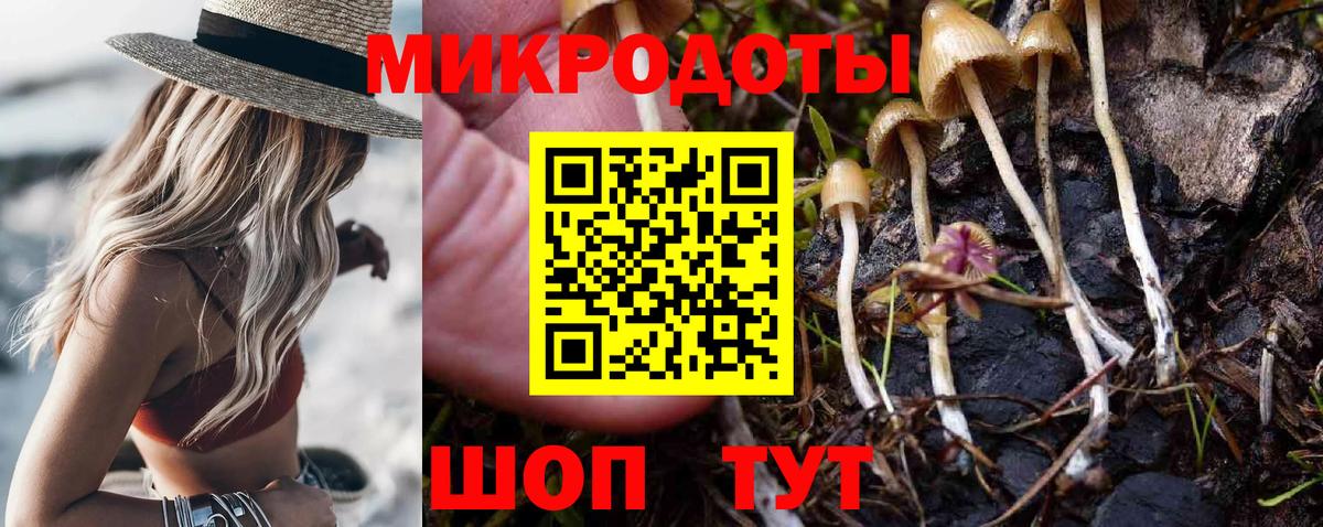 Галлюциногенные грибы мицелий  Вход с VPN  наркота  Новокубанск 